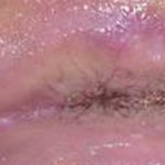 makatta egzama görselleri